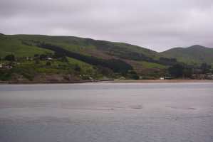 HARINGTON-POINT-DUNEDIN (7)